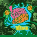 Jaakko Laitinen &amp; Väärä Raha Näennäinen (LP)
