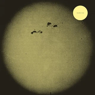 Survive Survive (LP)