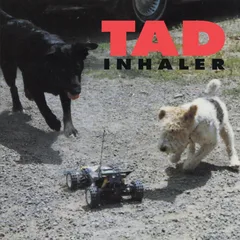Tad Inhaler (CD)