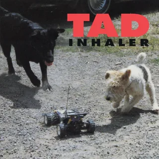 Tad Inhaler (CD)