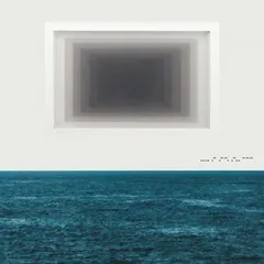 Twin Limb Haplo (LP)