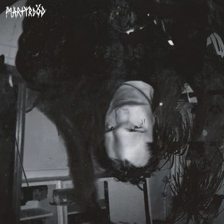 Martyrdöd List (LP)