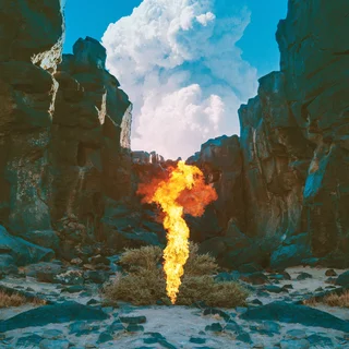 Bonobo Migration (2LP)