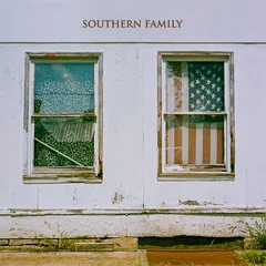 Diverse Artister Southern Family (2LP+ CD)