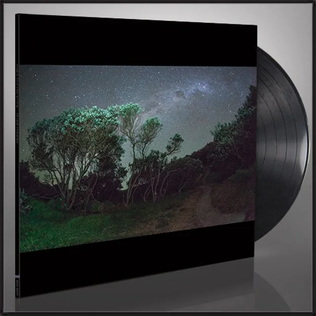 Esben and The Witch Older Terrors (LP) 