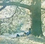 Yoko Ono Plastic Ono Band (LP)