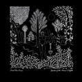 Dead Can Dance Garden of the Arcane Delights... (2LP)