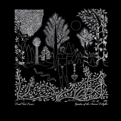 Dead Can Dance Garden of the Arcane Delights... (2LP)