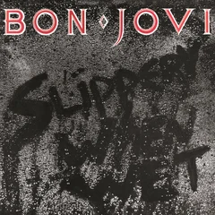 Bon Jovi Slippery When Wet (LP)