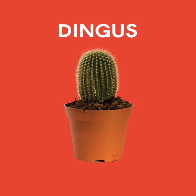 Dingus Dingus (LP) 