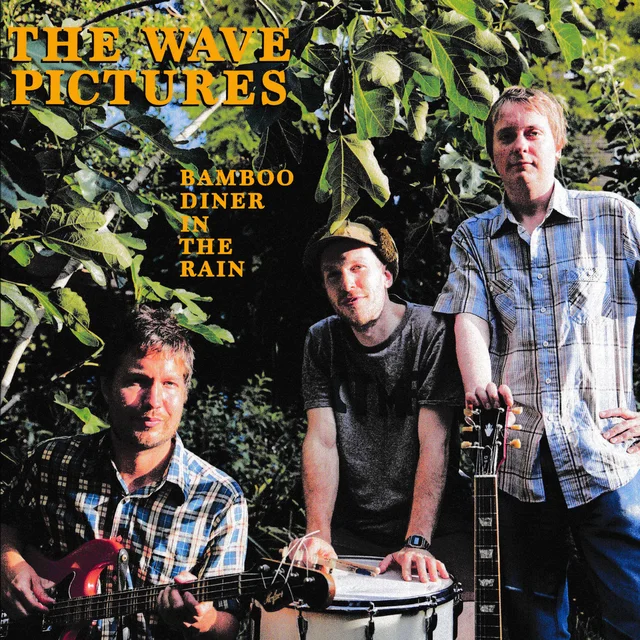 Wave Pictures Bamboo Diner In The Rain (LP) 