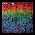 Deniz Tek Mean Old Twister (LP)