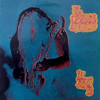 The Bevis Frond It Just Is (2LP)