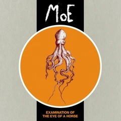 MoE Examination of the Eye of a... (LP)