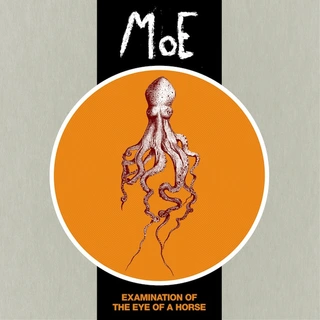 MoE Examination of the Eye of a... (LP)