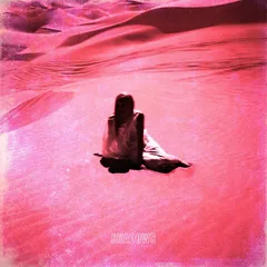 Cannons Shadows - LTD (LP)