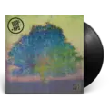 Eric Johnson EJ (LP)
