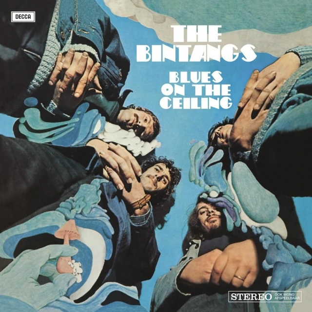 The Bintangs Blues On The Ceiling - LTD (LP) 