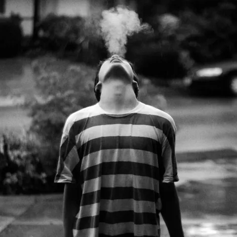 Tiger Lou The Wound Dresser (LP) 