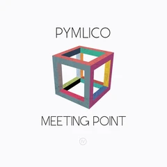 Pymlico Meeting Point (LP+CD)