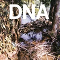 DNA A Taste Of DNA (12")