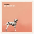 Ezra Furman Big Fugitive Life (LP)