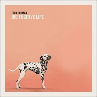 Ezra Furman Big Fugitive Life (LP)