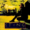 Sting Ten Summoner's Tale (LP)