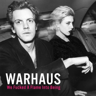 Warhaus We Fucked A Flame Into Being (LP)