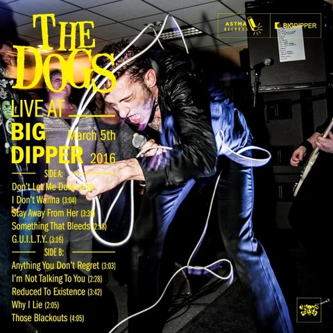 The Dogs Live At Big Dipper (LP) 