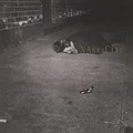 John Zorn Naked City (LP)