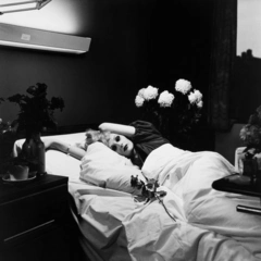 Antony &amp; The Johnsons I Am A Bird Now (LP)