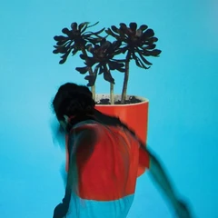 Local Natives Sunlit Youth (2LP)
