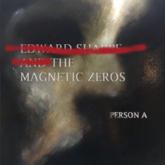 Edward Sharpe &amp; The Magnetic Zeros Persona (LP)