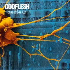 Godflesh Selfless (LP)