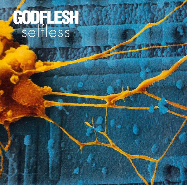 Godflesh Selfless (LP) 
