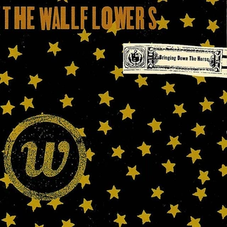 The Wallflowers Bringing Down The Horse (2LP)