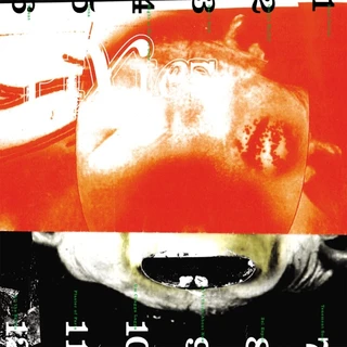 Pixies Head Carrier (LP)