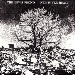 The Bevis Frond New River Head (2LP)
