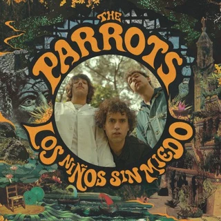 Parrots Los Niños Sin Miedo (LP) 