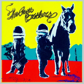The Avett Brothers True Sadness (2LP)