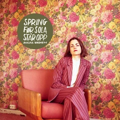 Annlaug Børsheim Spring Før Sola Står Opp (LP)