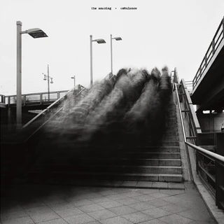 Amazing Ambulance (LP)