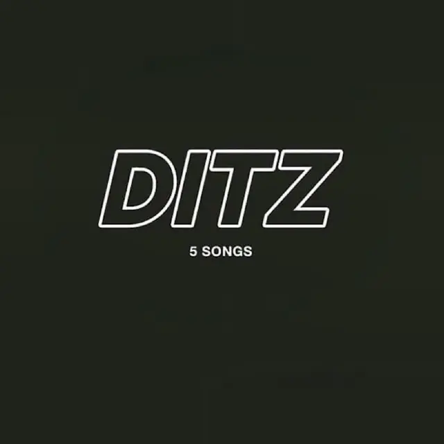 Ditz 5 Songs - LTD (12") 