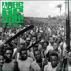 Diverse Artister Wake Up You! Vol 2: The Rise and (2LP)