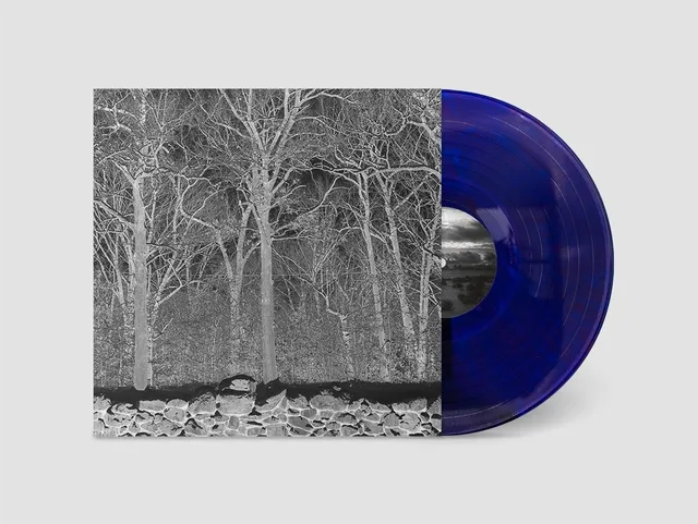 Pile Sunshine And Balance Beams - LTD (LP) 