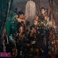 Weaves Weaves (LP)