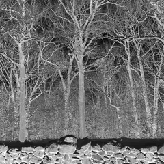 Pile Sunshine And Balance Beams (LP)