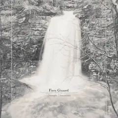 Joseph Decosimo Fiery Gizzard (LP)