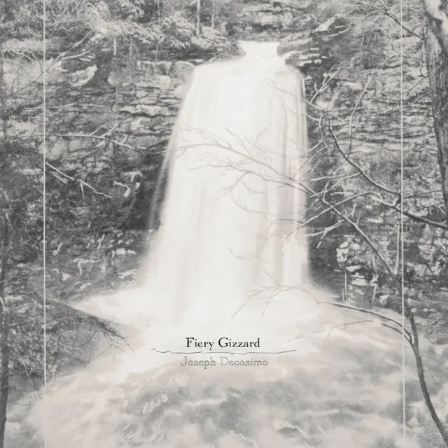 Joseph Decosimo Fiery Gizzard (LP) 